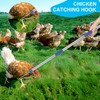 Chicken Catching Net ,Chicken Catcher Leg Hook , Extendable from