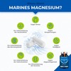 Anti-Stress Mineral Magnesium Mare® + Vitamin B6 Natural Magnesium Source