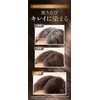 Sastty Rishiri Color Shampoo (Light Brown), Large Capacity, 16.9 fl