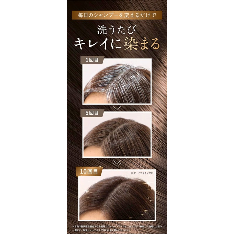 Sastty Rishiri Color Shampoo (Light Brown), Large Capacity, 16.9 fl