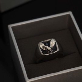 Men’s Vintage Viking Hawk Signet Ring Punk Rock Animal Patriotic Jewelry, American Flying Bald Eagle Totem Ring for Men (11)