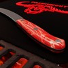 GIESSER seit 1776 - Made in Germany - Spickmesser 10