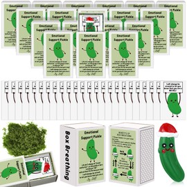 Wonderjune 36 Sets Employee Appreciation Gifts Bulk Emotional Support Positive Affirmation Gifts Thank You Gifts Christmas Appreciation Gifts for Coworkers Staff (Christmas Pickle)