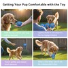 seagi Interactive Dog Toys – Durable Automatic Bouncing & Vibrating