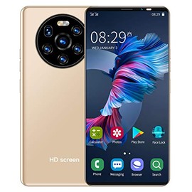 Mate40 Pro Smartphone Desbloqueado, Teléfono de Pantalla Completa HD de 5.45 '', SIM Dual, 514MB + 4GB, Cámara de Enfoque Automático de 0.3MP + 2MP, Desbloqueo Facial, con WIFI+BT+FM+GPS(dorado)