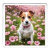 Jack Russell Dog Coaster Set. 4 different Jack Russell Terrier