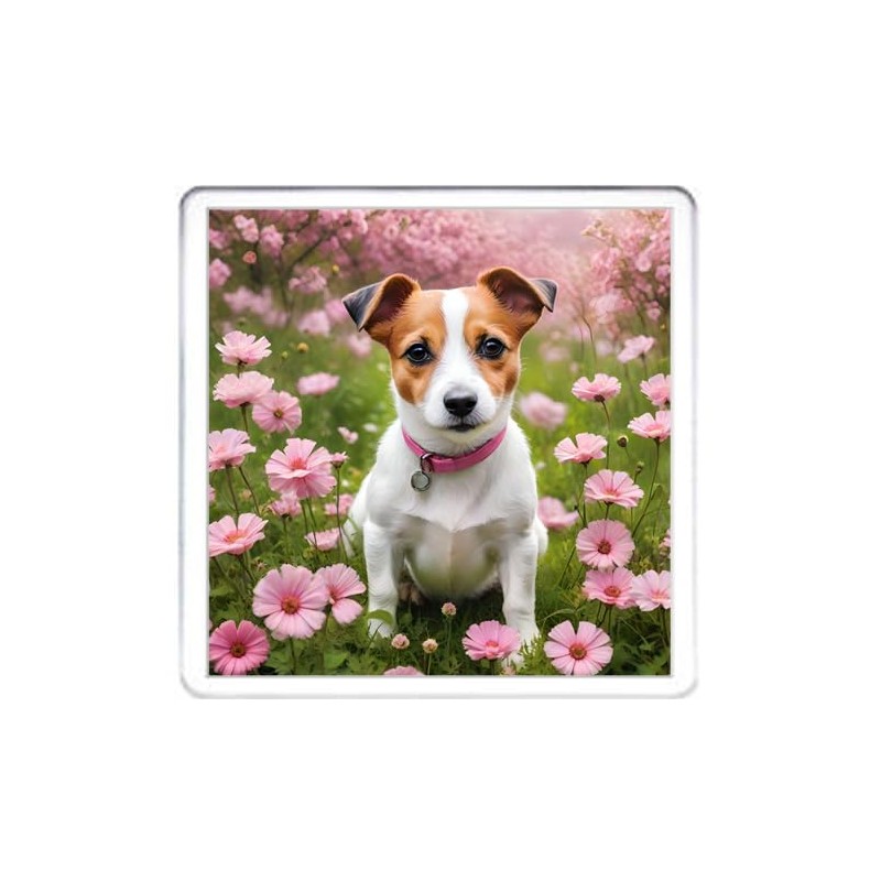 Jack Russell Dog Coaster Set. 4 different Jack Russell Terrier