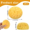 Mabor 2Pcs Texture Sponges, Sponge for Patch/Repair Ceiling Drywall Wall,