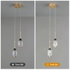 BBLLWJ Modern Black Gold Pendant Light Dimmable LED Ceiling Light