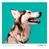 Premios Nupec Dental Care para Perro, Snack de Pollo 180