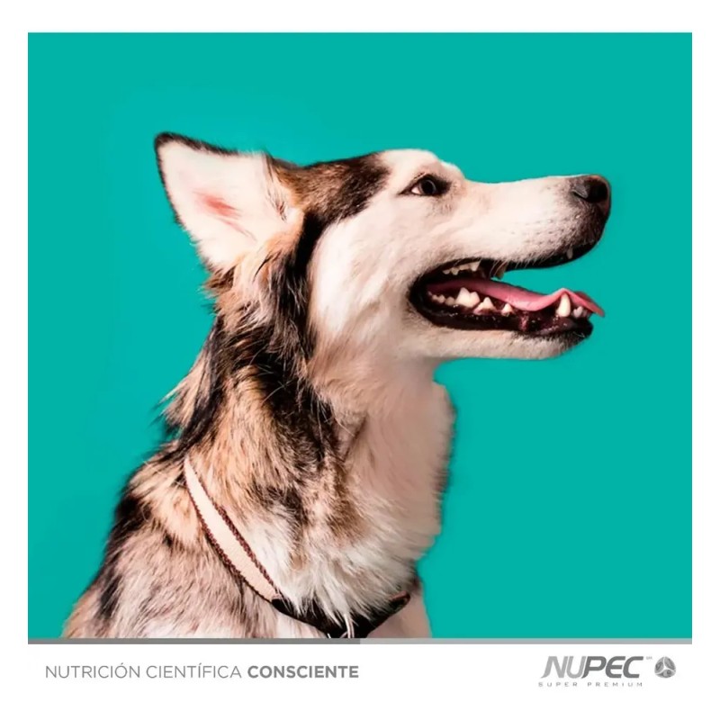 Premios Nupec Dental Care para Perro, Snack de Pollo 180