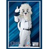 Bushiroad Sleeve Collection High-grade Vol. 4455 Professional Baseball Card Game DREAM ORDER "Leo"