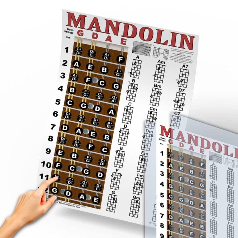Laminated Mandolin Fretboard Notes & Easy Beginner Chord Chart 11"x17"