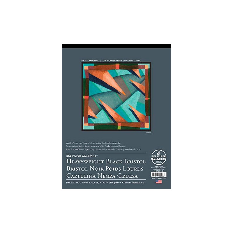 Bee Paper Black Bristol Pad, 9"-12"