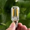 Yi Lighting T22 T7 E12 1W LED Night Light Bulbs
