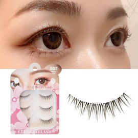 CLEAREYELASH Natural 3D 3D Matsueku False Eyelashes 3 Pairs (S03 Brown)