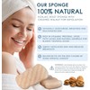 Esponjas Konjac Corporales (Paquete de 2) Exfoliantes de Nuez 100%