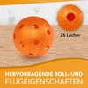 Fat Pipe Floorball Unihockey Ball Team Set of 24 Fat