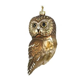 Cobane Studio LLC COBANED395 Northern Saw Whet Owl by Cobane Studio LLC
