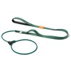 Howgo Dog Slip Lead Dog Leash, Training Lead, No-Pull Slip