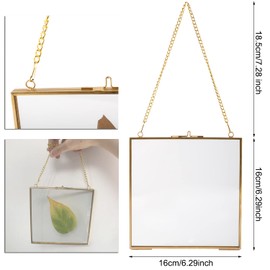 Homtone 16 x 16 cm Glass Frame for Wall, Floating Display Frame, Hanging Glass Photo Frame, Pure Copper Press Glass Frame for Flowers Pattern Plants, Photo DIY Artwork
