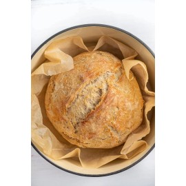Heritage Sour SOURDOUGH STARTER SAN FRANCISCO 200+ YRS OLD TANGY DEHYDRATED - 15 Gram Bag