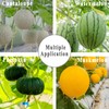 80 Pack Watermelon Nets, 20 Inches Reusable Cantaloupes Mesh Net