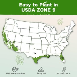 Lush&Dew Year-Round USDA Zone 9 Seed Bank, Gift for Mom Dad, 32 Varieties Non-GMO Heirloom Seeds of Vegetables Herbs, Gardening Gifts for Women Men, Survival Seed Kit for Raised Garden Bed Greenhouse