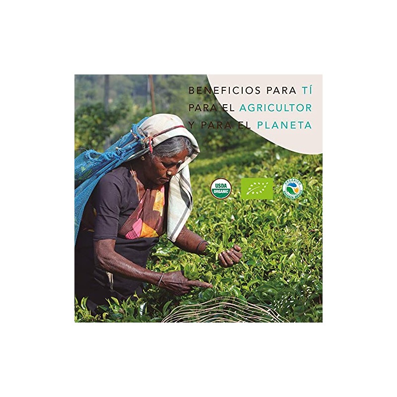 Té Matcha Orgánico en Sticks, 15 Sticks, Mayan Sweet