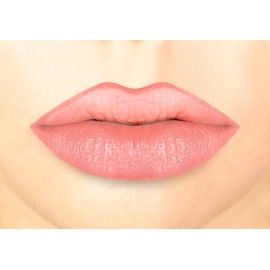 Luxvisage Long-Lasting Matte Lip Liner with Vitamins A & E (color 59 (ash pink))