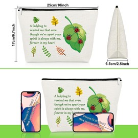 Ladybug Lover Makeup Bag Sympathy Memorial Gifts for Insect Lover Ladybug Inspirational Gifts Remembrance Cosmetic Bag for Condolences Bereavement Family Loss Grieving Friend Lady Bugs Travel Pouch