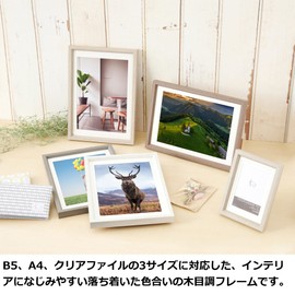 Hakuba Chululu FCHL-P01LBE P01 Picture / Photo Frame, Fits 6.9 x 9.8 / 8.3 x 11.7 / 8.7 x 12.1 inch (B5 / A4 /Document Sleeve) Size Photos, Beige