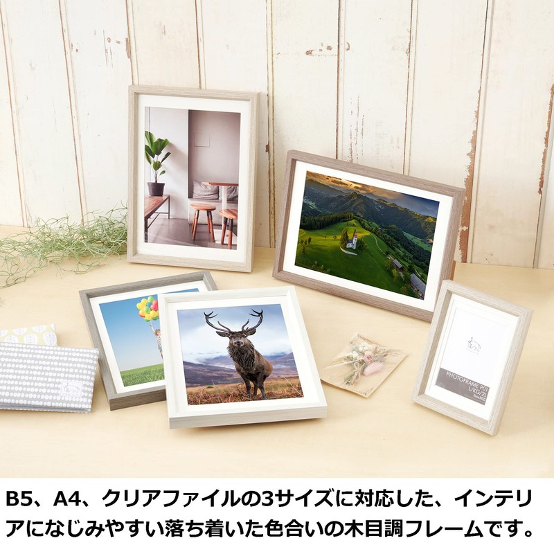 Hakuba Chululu FCHL-P01LBE P01 Picture / Photo Frame, Fits 6.9