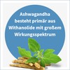 NatuGena Ashwagandha / KSM66 with 30 mg Withanolides per Daily