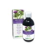 Milk Thistle (Silybum Marianum) Herb and Fruits Alcohol-Free Mother Tincture
