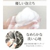 ANBAN Japanese Chinese Shampoo, No Rinse Required, Fluffy, Smooth, Natural