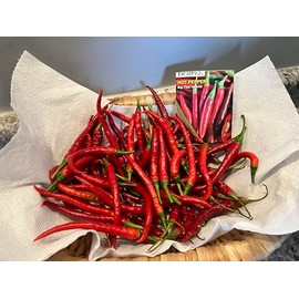 Big Thai Hot Pepper Seeds, USDA Certified Organic, 100 Seeds per Pack, Product of USA