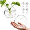 LOLYSIC 8PCS Wall Mounted Vase, Glass Wall Vase Propagation Wallmount