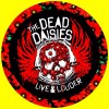 DEAD DAISIES JOHN CORABI DOUG A.BRACELET NECKLACEPIN