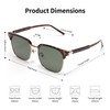 Retro Browline Premium Polarized Sunglasses for Men & Women –