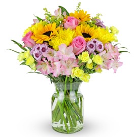 Benchmark Bouquets - Rays of Sunshine (Glass Vase Included) - Fresh Flowers for Delivery - Gift for Graduation, Birthday, Anniversary, Sympathy, Get Well, Congratulations