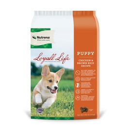Nutrena Loyall Life Puppy Food Chicken & Brown Rice (6 Pounds), 1 Count (Pack of 1)