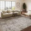 PureCozy Machine Washable Area Rug 4x6 Beige Grey Living Room