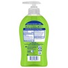 Softsoap Softsoap Antibacterial Liquid Hand Soap, Gentle Clean, Sparkling Pear