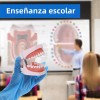 Tipodonto Dientes Articulado Tipo Nissiin Encía Suave