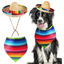 Dog Mexican Party Costume Cinco De Mayo Mexican Hat + Scarf (One Size)