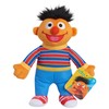 Sesame Street Small Soft Toy Set: Bert (23cm) & Ernie
