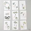 Baby Monthly Cards Green Age Cards