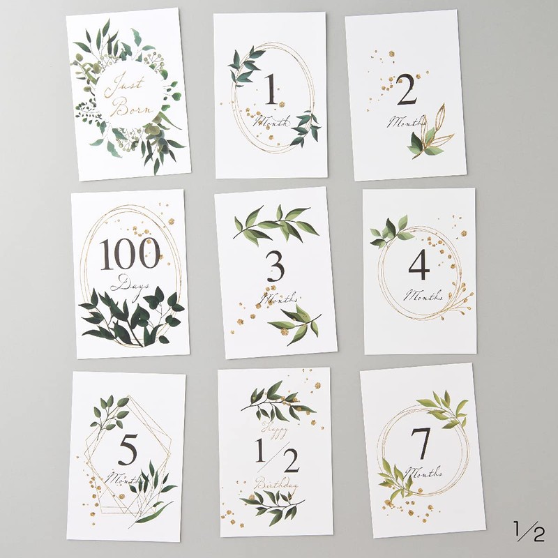 Baby Monthly Cards Green Age Cards