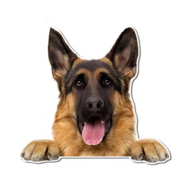Car Sticker Belgian Malinois Sticker 15 cm (5.9 Inch) 3D Torn Reflective Car Sticker Waterproof Belgian Shepherd Pet Dog Sticker Laptop Bumper Rear Window Decor